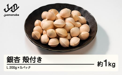 ≪先行予約≫ 2025年 山形県産 銀杏 殻付き L 約1kg(200g×5パック) 2025年10月上旬から順次発送 ぎんなん おつまみ 真空パック 個包装 小分け 秋 野菜 F20A-730