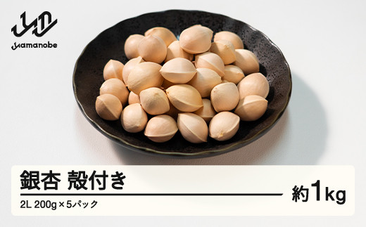 ≪先行予約≫2025年 山形県産 銀杏 殻付き 2L 約1kg(200g×5パック) 2025年10月上旬から順次発送 ぎんなん おつまみ 真空パック 個包装 小分け 秋 野菜 F20A-731