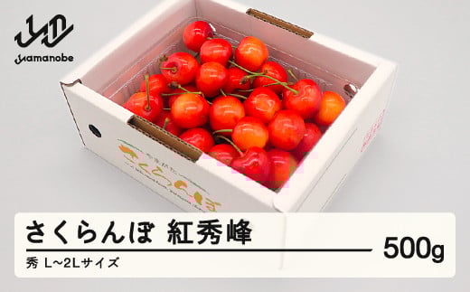 [先行予約]さくらんぼ 紅秀峰 秀品 L-2L玉 500g バラ詰 2026年産 令和8年産 山形県産 mm-bsbax500