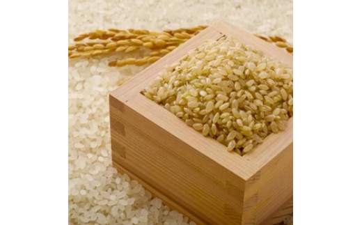 【先行予約】2024年(令和6年)産 山形県産 つや姫 玄米 10kg sunnyfarm小関sk-tsgxb10 ※沖縄・離島への配送不可