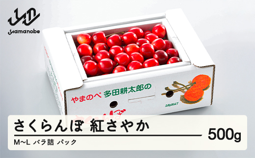 《先行予約》2026年 山形県産 紅さやか バラ詰め(パック)500g M~L やまのべ多田耕太郎のさくらんぼ サクランボ F21A-393