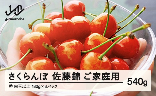 [ふるさと納税][先行予約] ご家庭用 さくらんぼ 佐藤錦 秀品 M玉以上 約540g 令和8年産 2026年産 山形県産 フルーツ 果物 tf-snpsm540