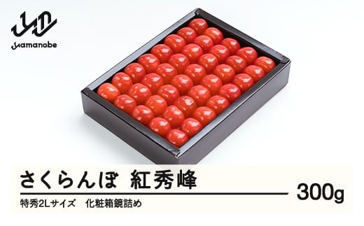 《先行予約》 さくらんぼ 紅秀峰 特秀2Lサイズ 300g 化粧箱鏡詰め 2026年産 令和8年産 山形県産 ns-bst2x300