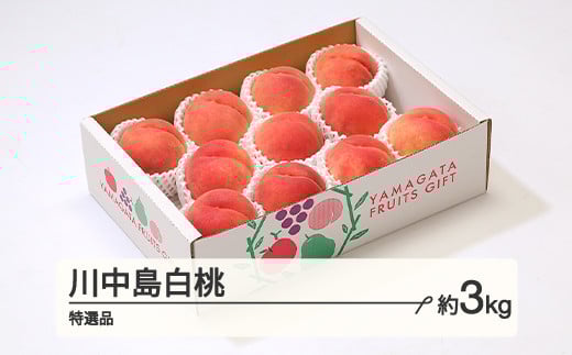 【先行予約】もも 桃 川中島白桃 特選品 約3kg(6~12個程度)  2026年産 山形県産 ※沖縄・離島への配送不可 tf-moknt3