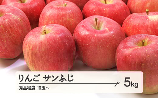 【先行予約】りんご サンふじ 秀品程度 約5kg(10~20個程度)  2025年産 山形県産 甘い シャキシャキ 食感 リンゴ 林檎 フルーツ 果物 果樹 ※沖縄・離島への配送不可 tf-risfs5