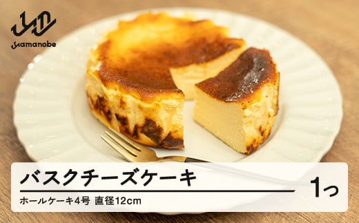 バスクチーズケーキ チーズケーキ スイーツ 洋菓子 焼き菓子 お菓子 チーズ ギフト プレゼント 冷凍 送料無料 ca-swbcx