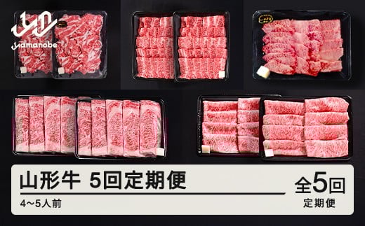 山形牛 5回 定期便 4~5人前   すき焼き  焼肉  肩ロース バラ切り落とし  カルビ モモ  tf-tkyhx2460