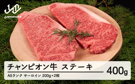 第30回山形県家畜商牛枝肉共進会チャンピオン受賞 山形牛 サーロインステーキ 400g(200g×2枚) A5ランク 牛肉 黒毛和牛 国産 tc-cpstx400 ※沖縄・離島への配送不可