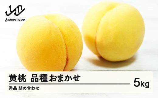 《先行予約》有袋黄桃 秀品 品種おまかせ 化粧箱入り 約5kg 令和8年産 2026年産 山形県産 果物 ※沖縄・離島への配送不可 ns-mootx5