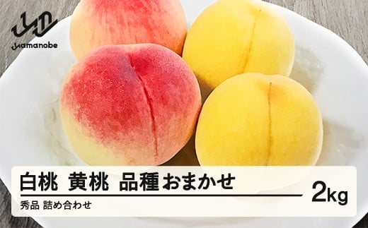 《先行予約》白桃＆有袋黄桃 秀品 品種おまかせ 化粧箱入り 約2kg 令和八年産 2026年産 山形県産 果物 ※沖縄・離島への配送不可 ns-mohot2