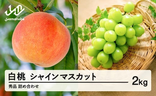 《先行予約》白桃 シャインマスカット 秀品 詰め合わせ 計2kg 2026年産 令和8年産 山形県産 もも ぶどう 果物 フルーツ ギフト 贈答 セット 組み合わせ   ※沖縄・離島への配送不可 ns-fshsx2