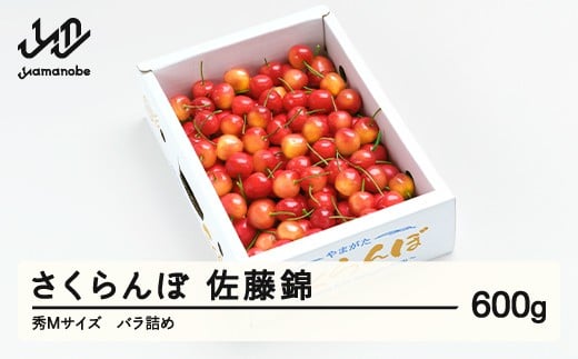 [先行予約] さくらんぼ 佐藤錦 秀Mサイズ バラ詰め 600g (600g×1箱) 2026年産 令和8年産 山形県産 ふるさと納税 果物 くだもの フルーツ 特産 産地 直送 送料無料 東北 山形県産 ns-snsmb600
