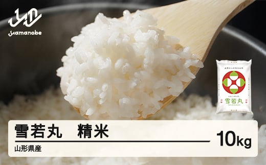 <先行予約>新米 米 雪若丸 精米 10kg 令和7年産 2025年産 山形県産 11月中旬〜11月下旬頃に順次発送 tf-ywsxb10-11s