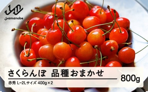 先行予約 さくらんぼ 品種おまかせ 赤秀品 ご家庭用 L-2L玉 400g×2 2026年産 令和8年産 山形県産 mm-saoax800