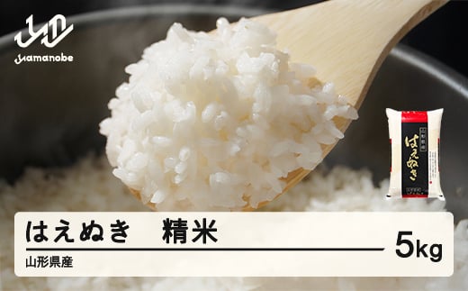 <先行予約>新米 米 はえぬき 精米 5kg 令和7年産 2025年産 山形県産 12月中旬〜12月下旬頃に順次発送 tf-hasxb5-12s