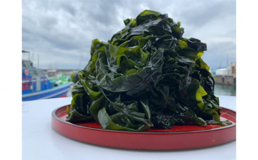 No.157 天然葉山磯ワカメ / わかめ ヌタ 味噌汁 神奈川県
