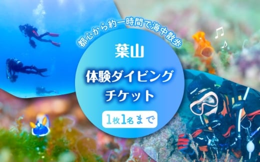 葉山体験ダイビング　チケット ／ 葉山 ダイビング マリンスポーツ 神奈川 レジャー 体験型返礼品 チケット 手ぶら 自然 海 神奈川県【ダイビングショップNANA】 [ASAM002]