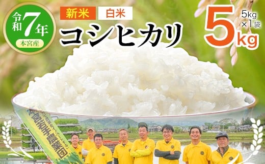 【令和7年産】福島県産コシヒカリ5㎏（5kg×1）≪白米≫　【07214-0430】