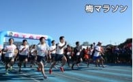 保健、医療及び福祉の増進