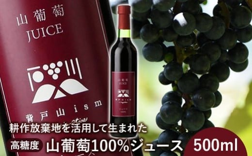 <耕作放棄地を活用して生まれた>高糖度山葡萄100%ジュース 500ml【0901001】