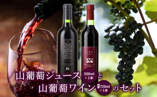 山葡萄ジュース500ml 山葡萄ワイン辛口720mlセット【09015】