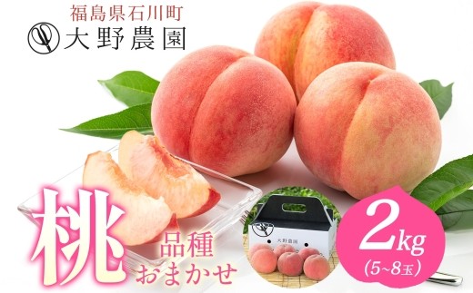 桃 2kg 品種お任せ 5~8玉 | もも 旬 ランダム 果物 フルーツ 完熟 ピーチ 産地直送 新鮮 大野農園 福島県 石川町【19002】