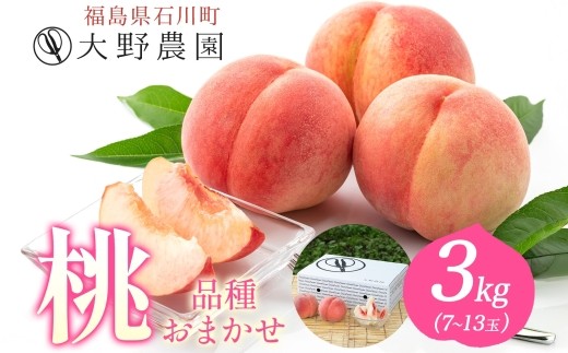 桃 3kg 品種お任せ 7~13玉 | もも 旬 ランダム 果物 フルーツ 完熟 ピーチ 産地直送 新鮮 大野農園 福島県 石川町【19003】