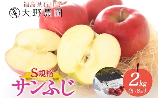サンふじ 2kg S規格 5~8玉 | りんご リンゴ 旬 林檎 果物 フルーツ 甘い アップル 産直 大野農園 福島県 石川町【19012】
