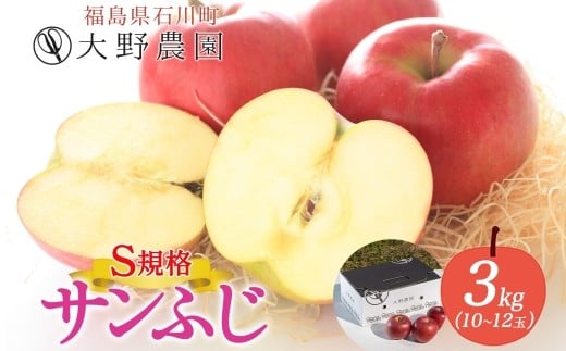 サンふじ 3kg S規格 10~12玉 | りんご リンゴ 旬 林檎 果物 フルーツ 甘い アップル 産直 大野農園 福島県 石川町【19013】