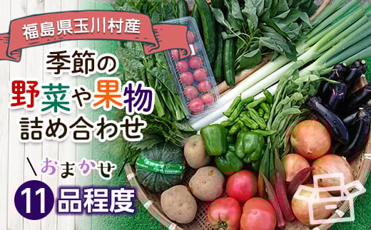 FT18-257 季節の産直売場の野菜と果物詰め合わせ(大)