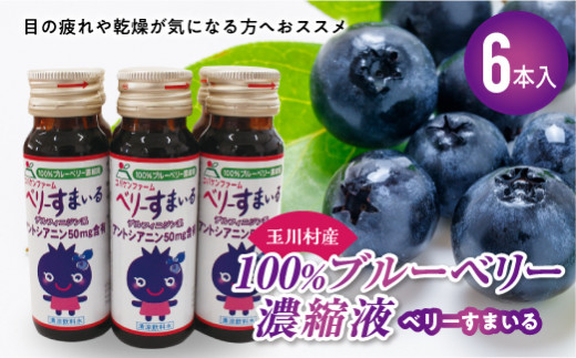 FT18-225玉川村産100％ブルーベリー濃縮液 ベリーすまいる 6本