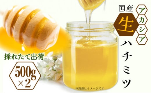 三春町産　力男のはちみつ【大瓶詰合せ アカシア ハチミツ 生はちみつ 無添加 採りたて 天然 非加熱 国産 免疫力 美肌 免疫 腸内フローラ 疲労回復 デザート】　【07521-0032】