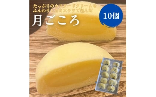 月ごころ10個入り【1630860】
