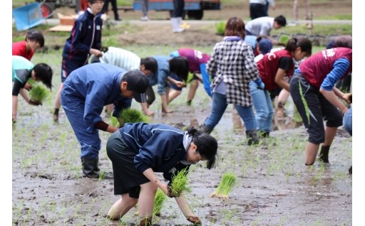 5　農林水産業の振興・環境整備