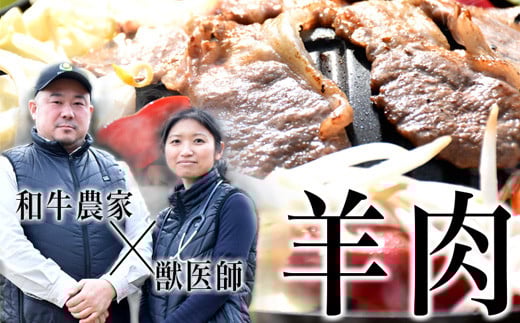 メルティーシープ　ジンギスカン肉250g（250g×１パック）　国産羊肉　液体急速冷凍