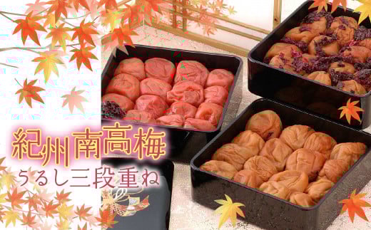 【ふるさと納税】紀州南高梅 うるし三段重ね FU-350 ITTAG101 | 梅干し 梅干 うめぼし 梅 うめ ウメ 贈答 ギフト 人気 ふるさと納税 送料無料