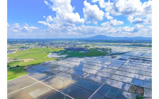 ７　自治体にお任せ