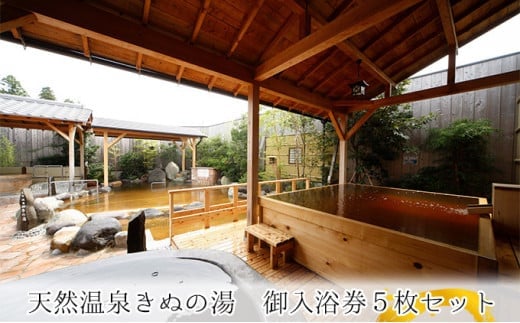 常総市 ふるさと御入浴券 ( 5枚 セット)  天然 温泉 源泉 掛け流し チケット 湯 券