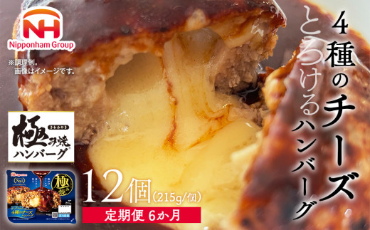 【定期便】極み焼きハンバーグ(4種のチーズソース)セット定期便6か月 定期便 ※沖縄県・離島への配送不可