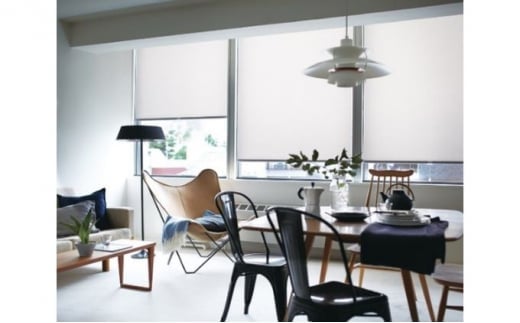 TOSOロールスクリーン ルノプレーン 【幅600～1200×高さ500～1200】to03001