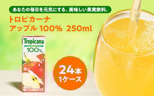トロピカーナ 100％ アップル 250mlLLスリム×24本 【ジュース 飲料 フルーツ 紙パック 贈答品 贈り物 】