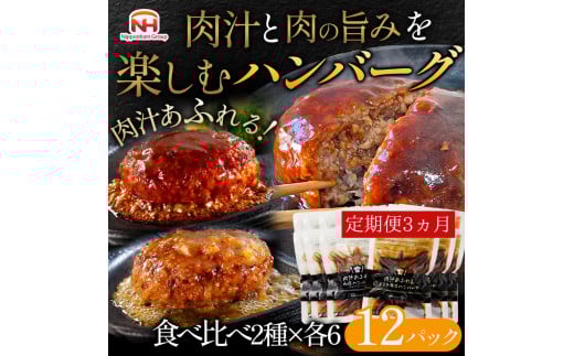 【定期便】肉汁あふれるハンバーグ2種12個セット（デミグラス＆和風）3ヶ月定期便　日本ハム 冷凍 個食 使い切り 湯煎 牛肉 豚肉 ※沖縄県・離島への配送不可