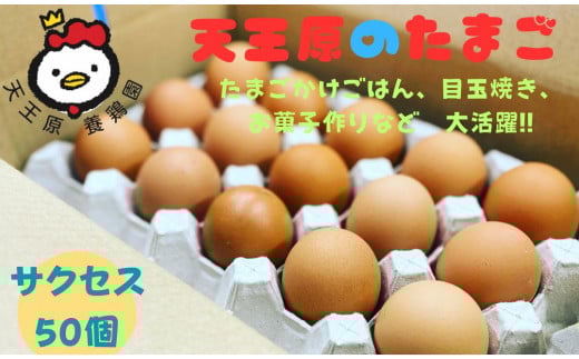 【天王原のたまご】サクセス卵50個入り