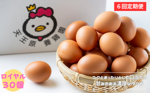 【定期便】6回定期 【天王原のたまご】 ロイヤル卵 30個入り  定期便 たまご 卵