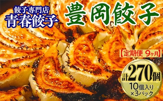 【定期便9ヶ月】餃子専門店青春餃子 豊岡餃子10個入り×3パック 30個(計270個)
