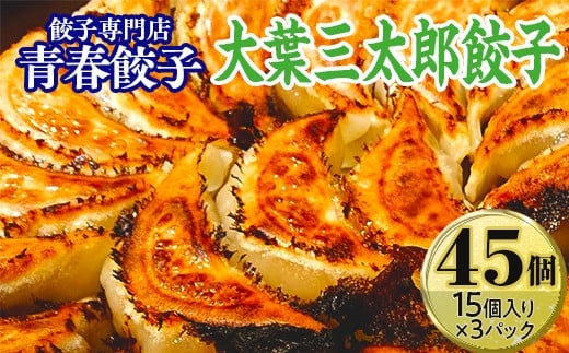 餃子専門店青春餃子 大葉三太郎餃子15個入り×3パック 45個