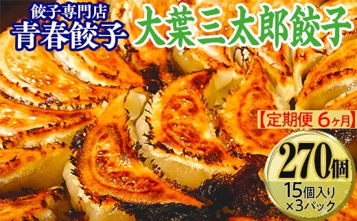【定期便6ヶ月】餃子専門店青春餃子 大葉三太郎餃子15個入り×3パック 45個(計270個)