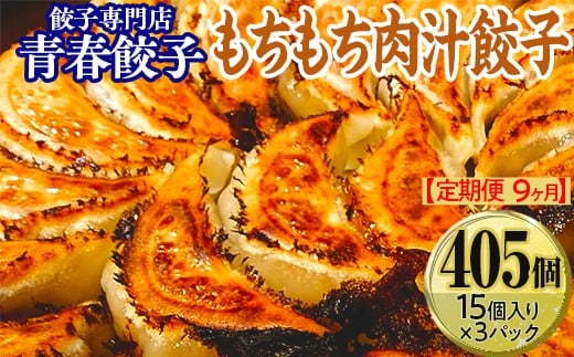 【定期便9ヶ月】餃子専門店青春餃子 もちもち肉汁餃子15個入り×3パック 45個(計405個)
