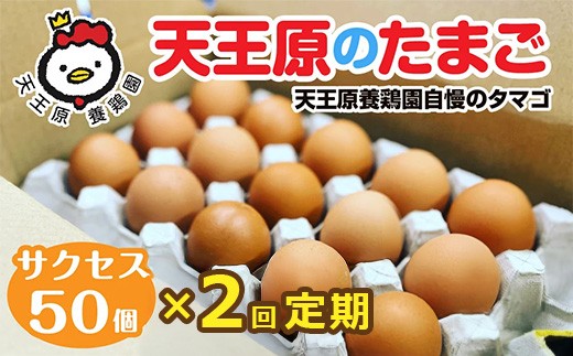 【定期便】2回定期 【天王原のたまご】 サクセス卵 50個入り 【定期便 2回定期便 セット たまご 卵 玉子 タマゴ 濃厚  ハリ 弾力 ボリューム 甘味 旨味 卵黄 風味 生 コク 甘味 卵かけご飯 卵焼き 目玉焼き オムレツ 茶碗蒸し お菓子作り パンの材料】