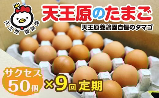 【定期便】9回定期 【天王原のたまご】 サクセス卵 50個入り 【定期便 9回定期便 セット たまご 卵 玉子 タマゴ 濃厚  ハリ 弾力 ボリューム 甘味 旨味 卵黄 風味 生 コク 甘味 卵かけご飯 卵焼き 目玉焼き オムレツ 茶碗蒸し お菓子作り パンの材料】